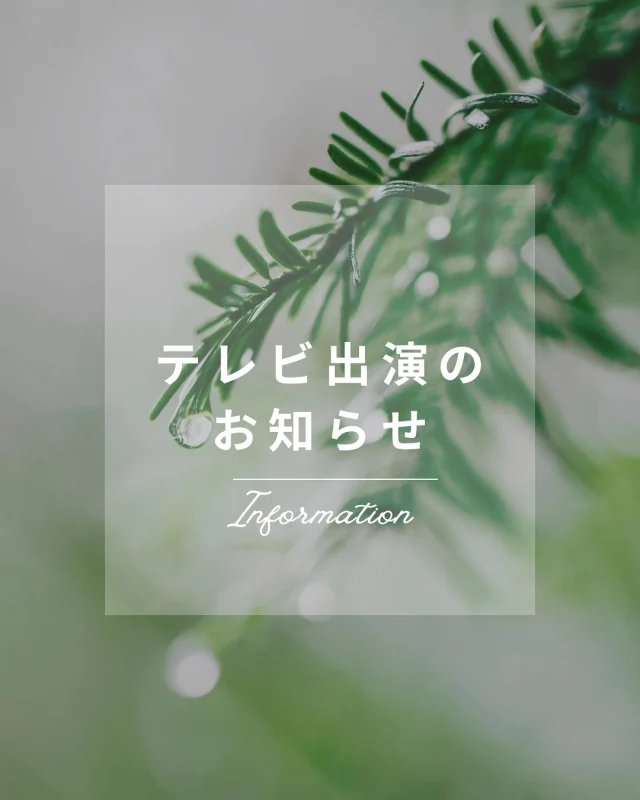・
【テレビ出演のお知らせ📺】
6/30(月) 13:45〜 関西テレビ「らくらく茂」に出演します！  今回の特集テーマは…なんと『米粉パン』🍞✨
米粉パンがテレビで取り上げられる時代が来たなんて…感慨深いです。  そして、城島さんに米粉パンを作ってもらって、食べてもらえる日が来るなんて❤︎もう嬉しいしかないですね。  関西の番組なので関東では観られませんが、関西の皆さまぜひご覧ください〜！
（私は観られないので…誰か録画して〜！笑）  #テレビ出演